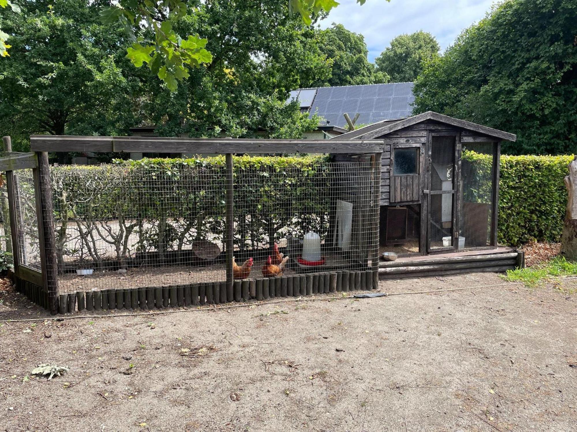 Villa Completely Renovated Back Part Of A Farm Uden Exterior foto